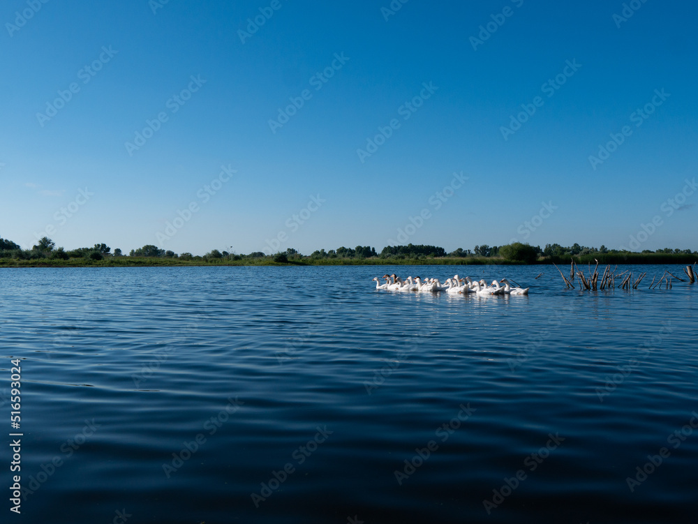 boat on the river