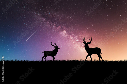 Fotobehang Night deer silhouette against the backdrop