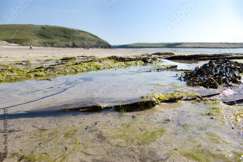 Daymer Bay, a beach on the Camel Estuary in North Cornwall, UK. In the foreground are rocks with rock pools and washed-up seaweed. Late afternoon in June.