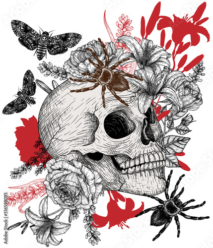 Vector illustration of a human skull in colors, with spiders and moths in an engraving style