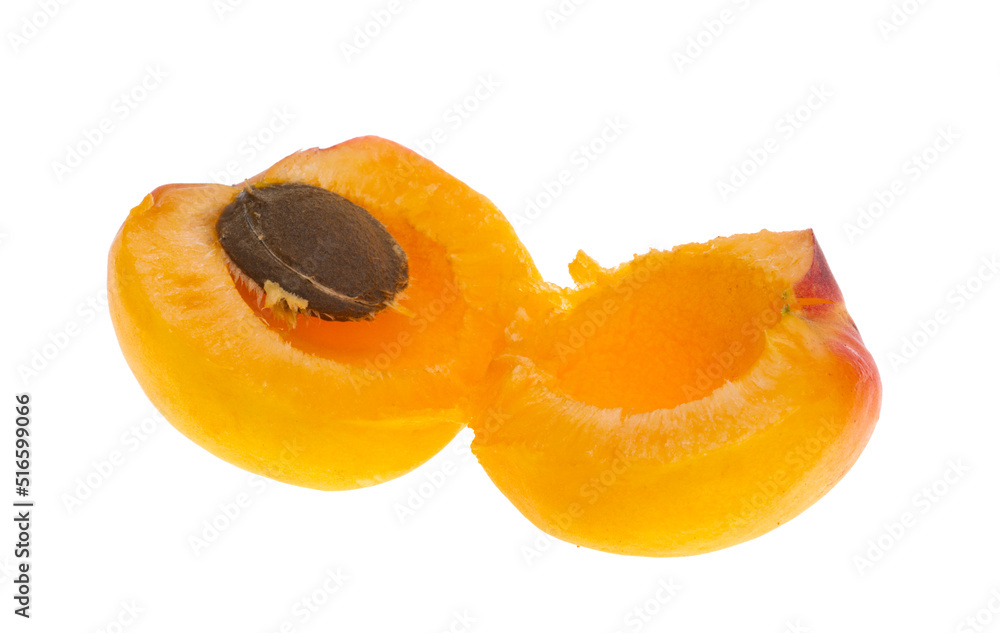 apricot isolated apricot isolated