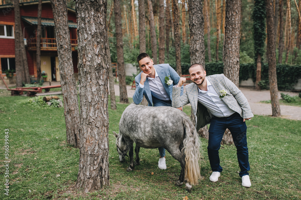 Fototapeta premium Smiling, cheerful groom and his friend are walking in the forest in nature with a donkey and joking. Wedding photography, portrai