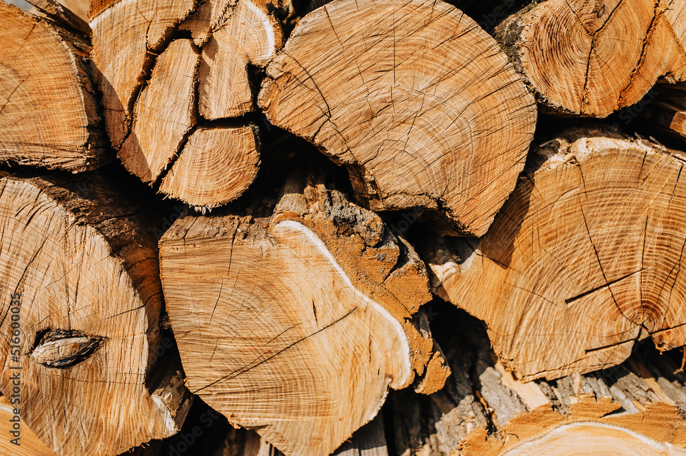 Background, texture of brown wooden logs, acacia firewood stacked in a row. Background, texture of brown wooden logs, acacia firewood stacked in a row.