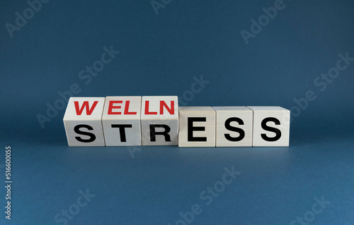 Wellness Stress. Cubes form words Wellness Stress.