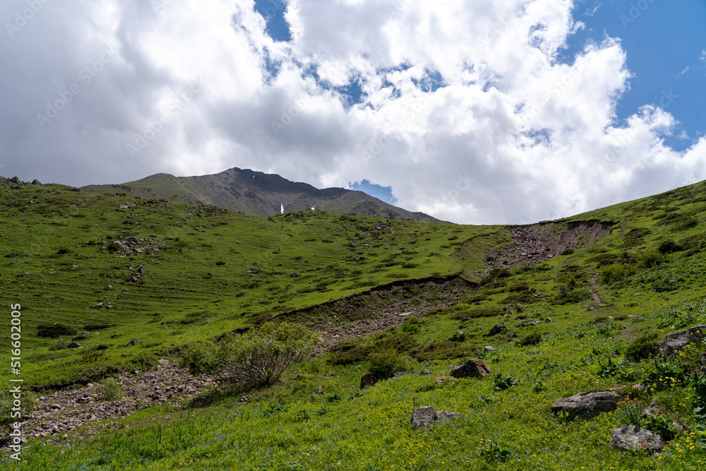 Landscape of high green mountains