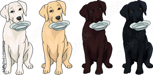 Hungry labrador, cane corso, doggo argentino, sitting, holding a bowl in his teeth drawing vector illustration, dark, black, creamy, white, chocolate, dog, puppy, 