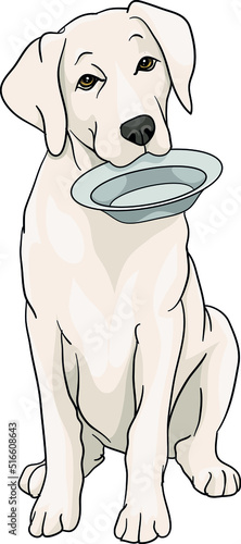Labrador golden retriver siting and waits for food with a bowl in its mouth waiting drawing vector illustration dog