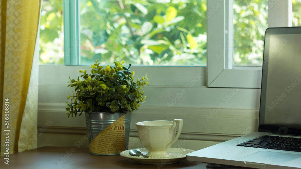 Computer and coffee cup on desk and plant pots.business nature concept. Computer and coffee cup on desk and plant pots.business nature concept.