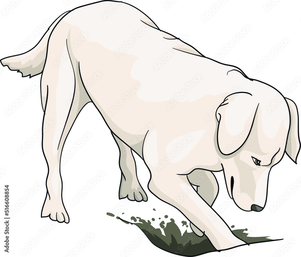 Fototapeta premium The white dog digs a hole in the ground labrador, golden retriever, tosa inu, illustration, cartoon, vector, eps
