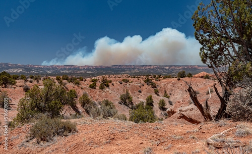 672-06 Forest Fire from Kodachrome Basin SP photo