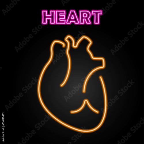 heart organ neon sign, modern glowing banner design, colorful modern design trend on black background. Vector illustration.