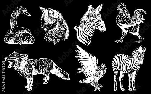 Vector set of wild and domestic animals isolated on black, graphical drawing