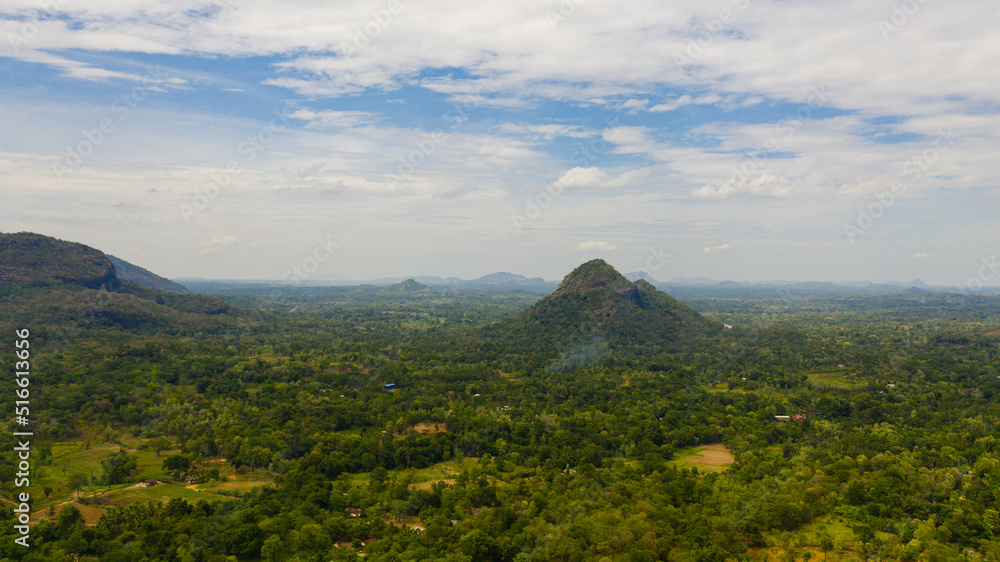 Agricultural land in the countryside among the rainforest and jungle. Sri Lanka. Agricultural land in the countryside among the rainforest and jungle. Sri Lanka.