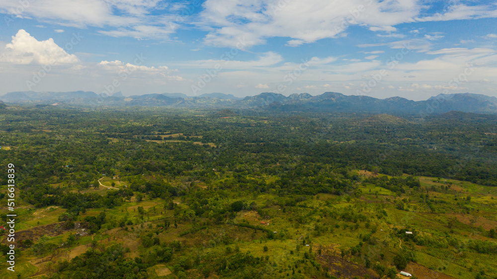 Aerial drone of Farmlands and villages in a valley among tropical vegetation and jungle. Sri Lanka.