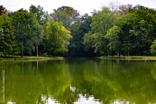 green forest trees reflecting on a placid pond