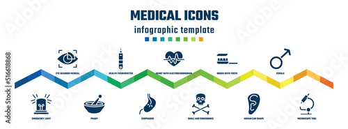medical icons concept infographic design template. included eye scanner medical, emergency light, health thermometer, phary, heart with electrocardiogram, esophagus, brush with tooth paste, skull
