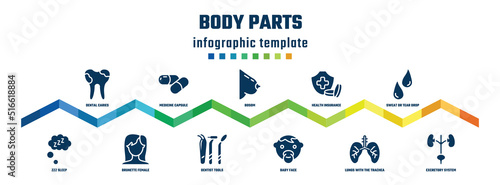 body parts concept infographic design template. included dental caries, zzz sleep, medicine capsule, brunette female woman long hair, bosom, dentist tools, health insurance or hospital costs, baby