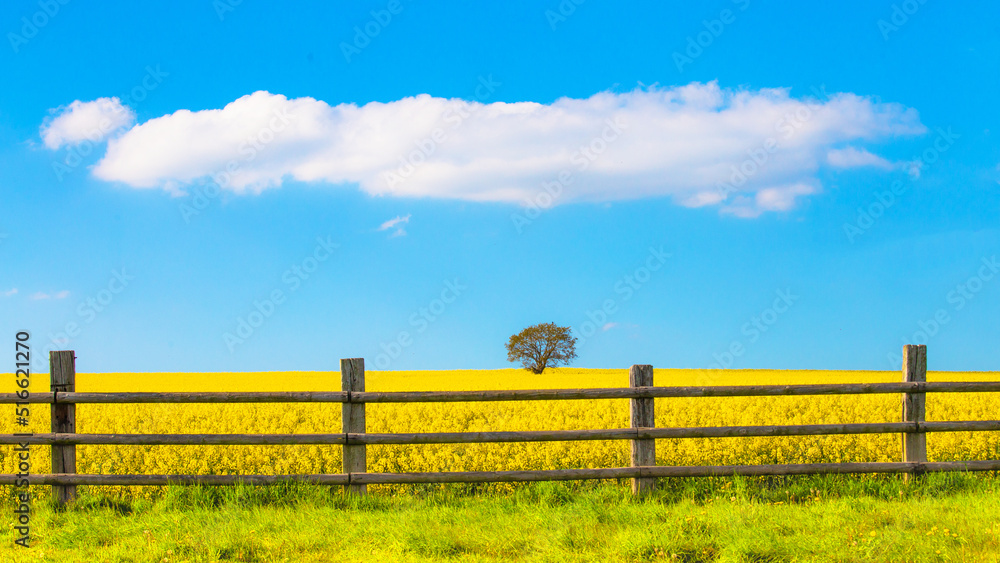 Le printemps en Normandie
