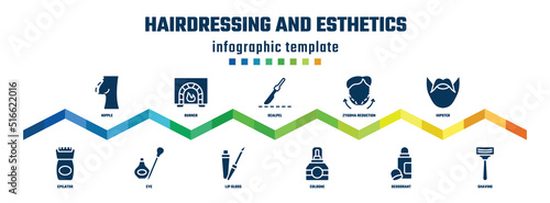 hairdressing and esthetics concept infographic design template. included nipple, epilator, burner, eye, scalpel, lip gloss, zygoma reduction plasty, cologne, hipster, shaving icons.