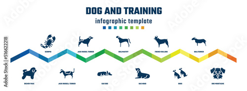 dog and training concept infographic design template. included scorpio, bichon frise, jack russel terrier, jack russell terrier, bullmastiff, sad dog, french bulldog, bas houd, bullterrier, dog