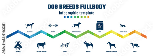 dog breeds fullbody concept infographic design template. included dalmatian, hoverfly, pet toy, shetland sheepdog, springer spaniel, locust, treat, shar pei, border collie, collie icons.