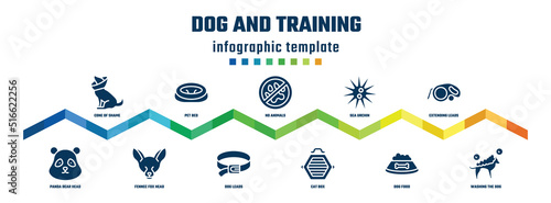 dog and training concept infographic design template. included cone of shame, panda bear head, pet bed, fennec fox head, no animals, dog leads, sea urchin, cat box, extending leads, washing the dog