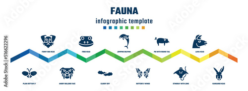 fauna concept infographic design template. included funny dog head, plain butterfly, frog head, angry bulldog face, jumping dolphin, cloudy sky, pig with round tail, butterfly wings, lama head,