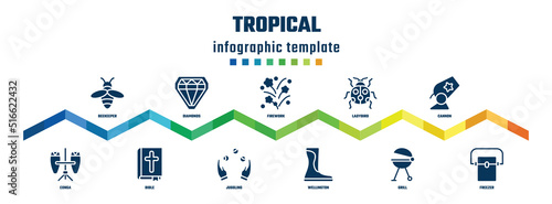 tropical concept infographic design template. included beekeeper, conga, diamonds, bible, firework, juggling, ladybird, wellington, cannon, freezer icons.