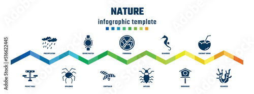 nature concept infographic design template. included precipitation, picnic table, diving watch, opiliones, forbidden, chrysalid, seahorse, antlion, coconut drink, seaweed icons.
