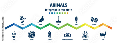 animals concept infographic design template. included beans, bikini, pigeon, lifebuoy, rake, plankton, canoe, underwater photography, easter egg, llama icons.
