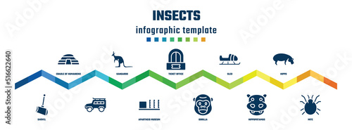 insects concept infographic design template. included cradle of humankind, shovel, kangaroo, , ticket office, apartheid museum, sled, gorilla, hippo, mite icons.