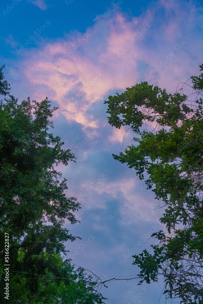 Obraz premium 夕焼け