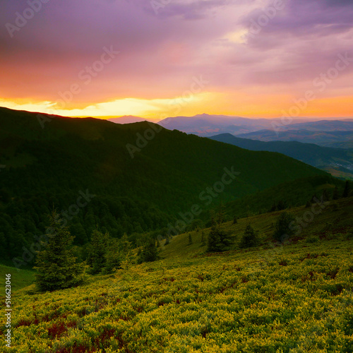 spectacular summer scenery, awesome sunset landscape, beautiful nature background in the mountains, Carpathian mountains, Ukraine, Europe  © Rushvol