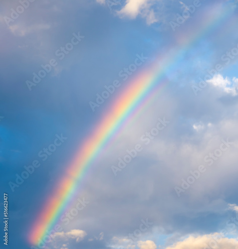 amazing bright rainbow in beautiful evening cloudy sky after rain and thunder  weather concept