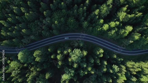 aerial view of the mountain road in a green forest