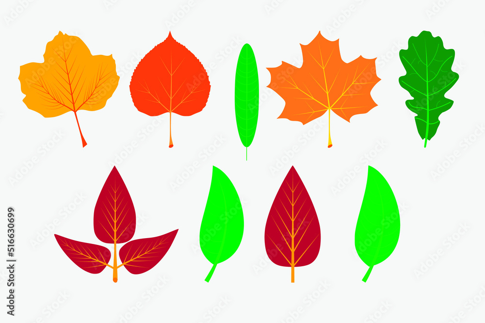Set of vector tree leaves