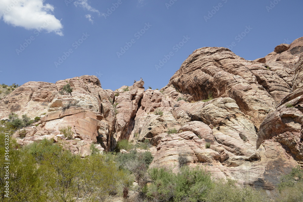 stunning red rock canyon landscape