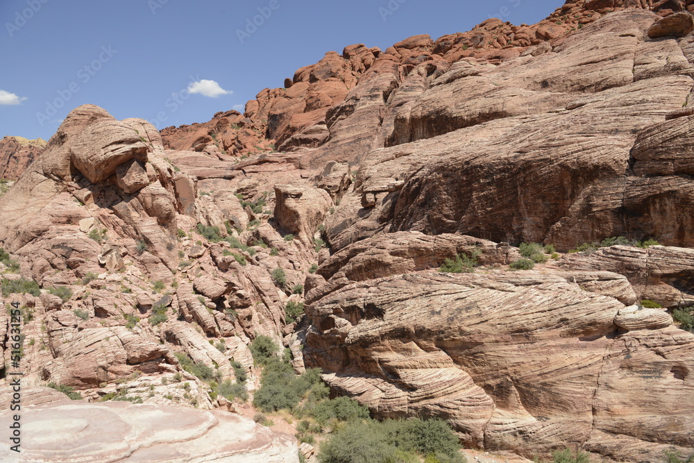 Fototapeta premium stunning red rock canyon landscape