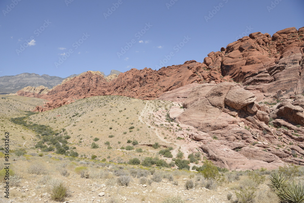 stunning red rock canyon landscape