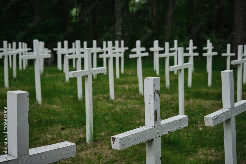 Lumivaara, Republic of Karelia. Old abandoned Finnish cemetery in Russia. Burial culture. Minimalistic background. White wooden crosses stand in row and green manicured lawn.