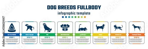 dog breeds fullbody concept infographic design template. included cat playhouse, scold the dog, pug, dog moustache, laying cat, husky, toyger cat, pharaoh hound icons and 8 steps or options.
