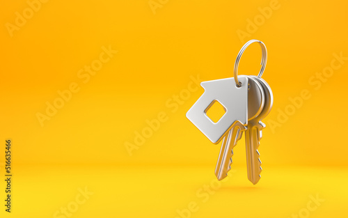 House keys with house shaped keychain, Estate concept, key ring and keys on bright yellow background. 3d rendering photo