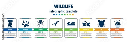wildlife concept infographic design template. included turban, pawprints, octopus, toucan, dunes, butterflies, rat, beehive icons and 8 steps or options.