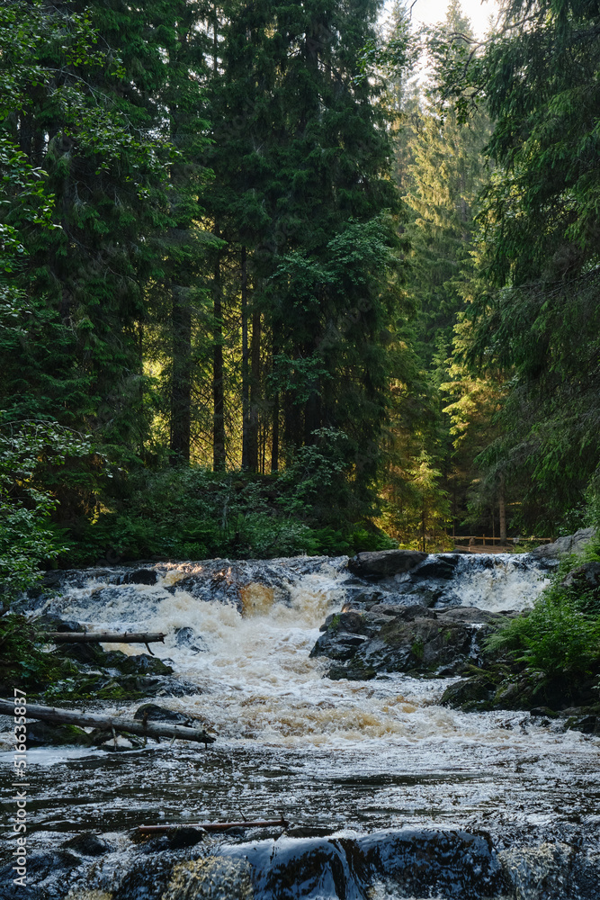 National Park Valley of Waterfalls in Karelia, green mixed forest and ferns along river bank. A popular place among tourists. The concept of travel in Russia. National Park Valley of Waterfalls in Karelia, green mixed forest and ferns along river bank. A popular place among tourists. The concept of travel in Russia.