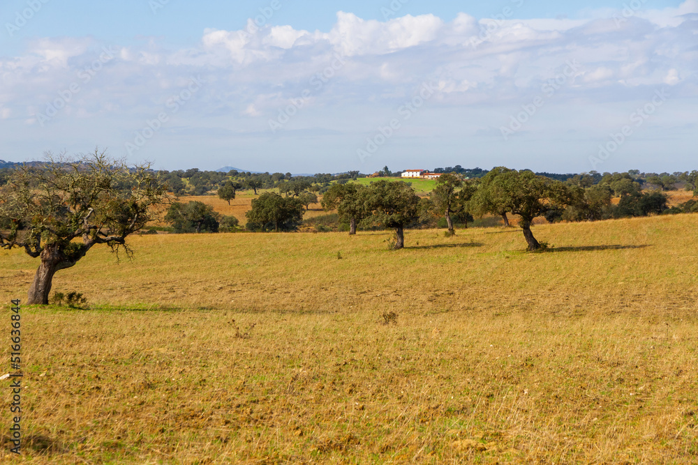 Farmhouse in pasture of cork oaks and holm oaks Farmhouse in pasture of cork oaks and holm oaks