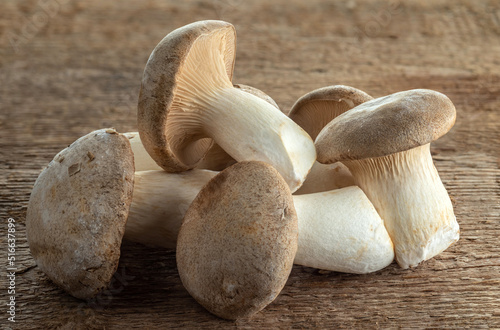 King trumpet mushroom on a background of wood texture..Useful edible mushrooms.