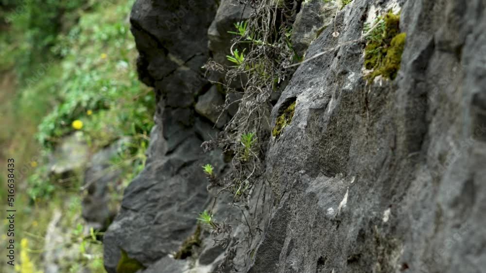 Creepy dark rough rock surface. Wet prehistoric grotto. Stone natural cave wall. Dramatic view Creepy dark rough rock surface. Wet prehistoric grotto. Stone natural cave wall. Dramatic view