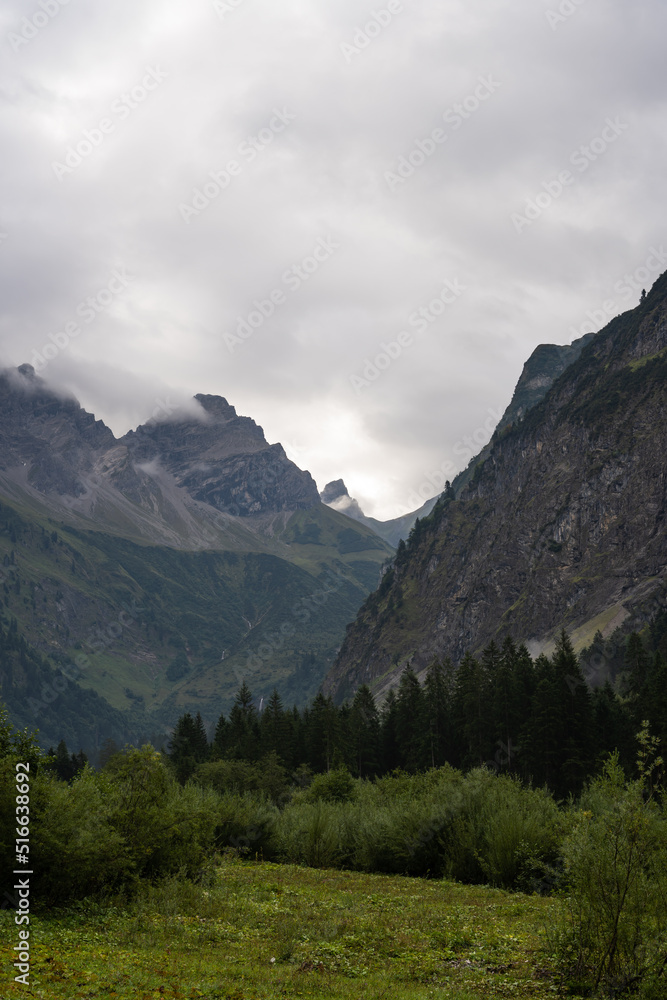 Obraz premium Green forest in the mountains