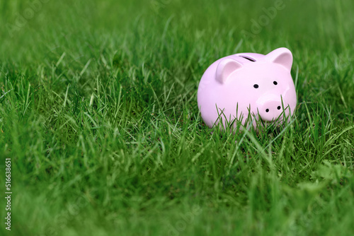 .Pink Piggy bank on green grass in summer, copy space. World crisis concept