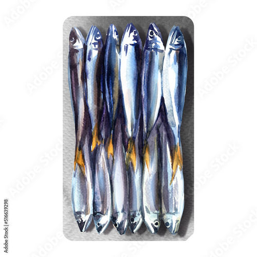 Whole anchovy, saltwater forage oily fish, pickled salted anchovies in tray, seafood, isolated object, close-up, package design element, hand drawn watercolor illustration on white background